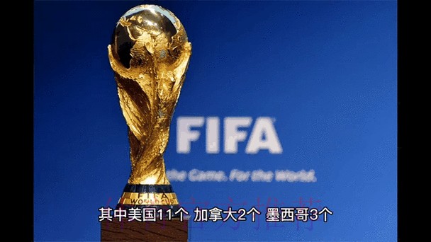 2026世界杯最新竞猜动态解析 2026世界杯最新竞猜动态解析